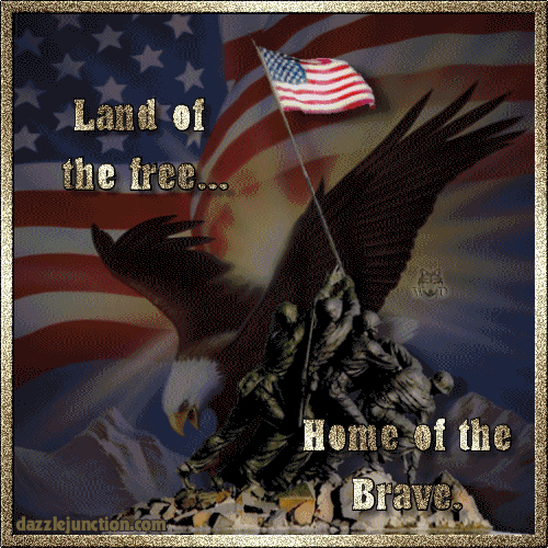 Veterans Day Land Of Free picture