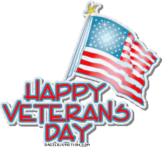 Veterans Day Flag