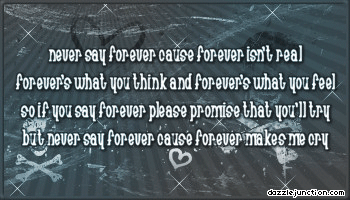 Quote Banner Never Forever picture