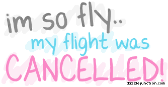 Quote Banner So Fly Flight Cancelled picture