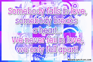 Quote Banner We Never Fell Love picture
