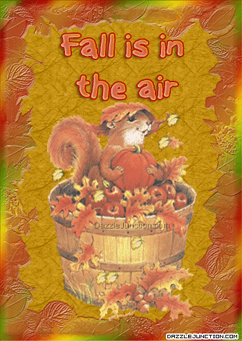 Fall In The Air