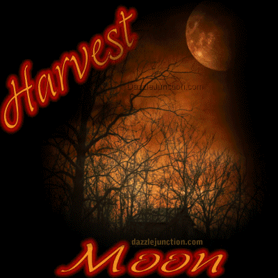 Autumn, Fall Harvest Moon picture