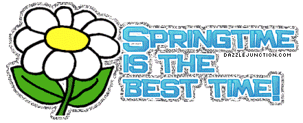 Spring Best Time picture