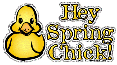 Spring Hey Spring Chick picture