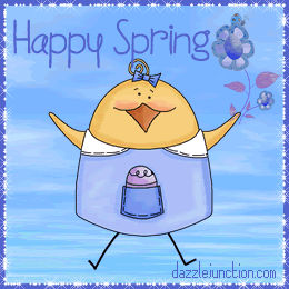 Spring Chick