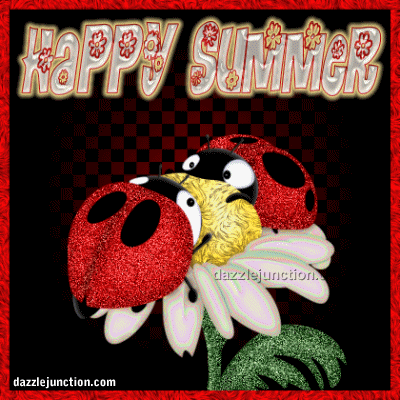 Summer Ladybug