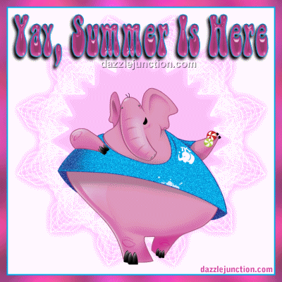 Summer Yay Pig