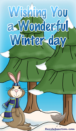 Winter Rabbit Winter Day picture
