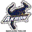 College Logos Akron Zips quote