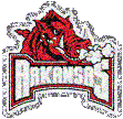 Arkansas Razorbacks