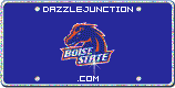 NCAA College Logos Boise picture