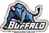 NCAA College Logos Buffalo Bears picture