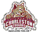 NCAA College Logos Charleston Cougars picture