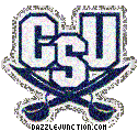 NCAA College Logos Charleston Southern Buccane picture