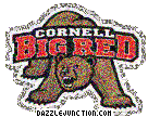 NCAA College Logos Cornell Big Red picture