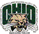 Ohio Bobcats