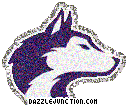 NCAA College Logos Washington Huskies picture