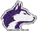 Washington Huskies