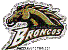 NCAA College Logos Western Michigan Broncos picture