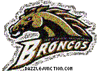 Western Michigan Broncos