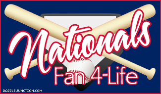 MLB Fans Nationals picture