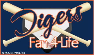 MLB Fans Tigers picture