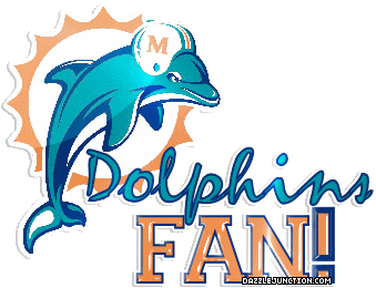 Dolphins Fan