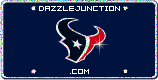 NFL Team Plates Houston Texans picture