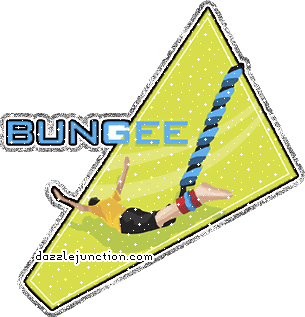Sports Bungee picture