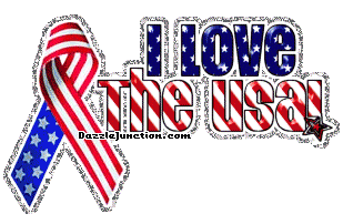 Love The Usa