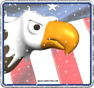 America America Eagle quote