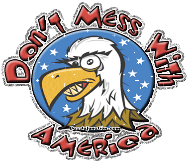 America Dont Mess America picture