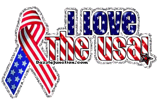 Love The Usa