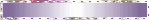 Purple White