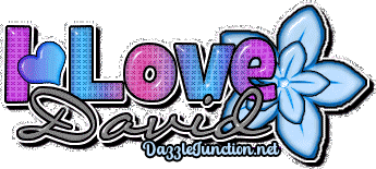 I Love David