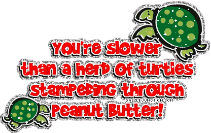 Funny Slower Turtlespeanut Butter picture