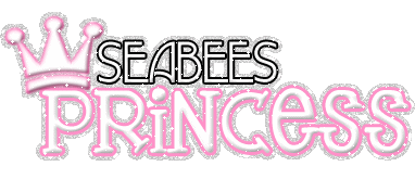 Military Princess Seabees picture