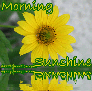 Yellow Morning Sunshine