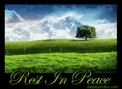 Rest In Peace Rain