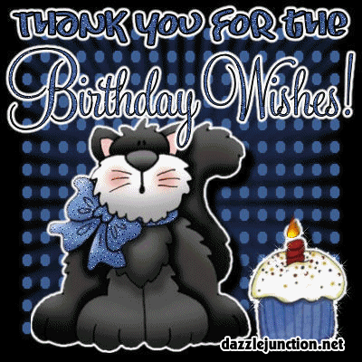 Thank You Birthday Cat quote