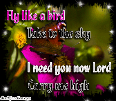 Carry Me High quote