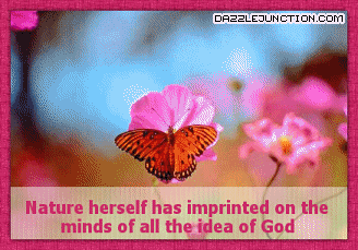 Idea Of God quote