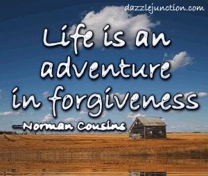 Life Adventure quote
