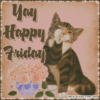 Cat Yay Friday quote