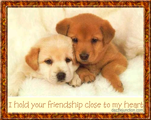 Friendship 11