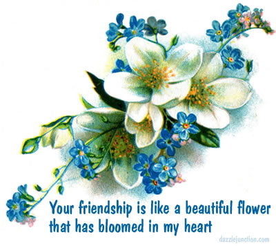 Friendship 113
