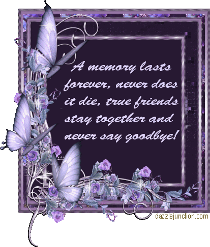 Friendship 132