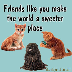 Friendship