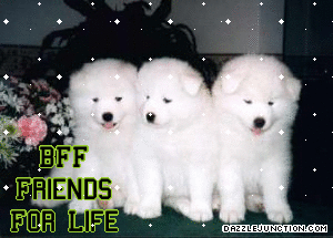 Friendship 212